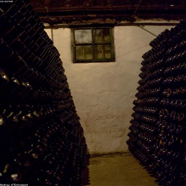 Wine